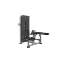 Machine d'entraînement rotative du tronc à charge par aiguille. Appareil d'exercice pour la rotation de la taille en position assise / équipement de renforcement du tronc