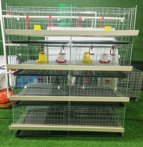 Nueva Jaula para Pollitos de Acero Galvanizado Tipo H de Cuatro Niveles y <span class=keywords><strong>Ocho</strong></span> Puertas, de Alta Calidad, Fabricada con Acero Q235 con Alto Contenido de Carbono, Entrega en 45 Días - Product Image 5