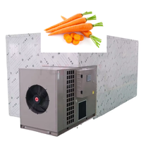 Déshydrateur automatique de haute qualité à prix d'usine pour les chips de carottes violettes et jaunes biologiques