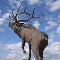 Sculpture en bronze MALTON, statue d'animal en bronze, statue d'élisir en laiton à vendre