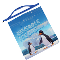 Sac de glace pliable et debout réutilisable de 2,5 L pour camping, randonnée, impression personnalisée, pochette de jus d'eau glacée de qualité alimentaire avec poignée