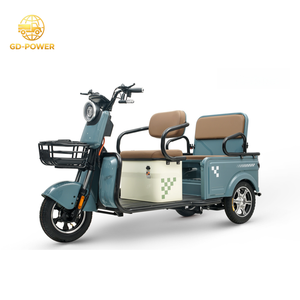 EW esesign amamily Electric ricricycle con Octional 800W ototor 48V atteries assassenger leclectric ririke para Family aily Rave - Product Image 2