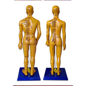 60 सेमी उत्कीर्ण मानव एक्यूपंक्चर मेरिडियन मॉडल, पारंपरिक चीनी चिकित्सा शिक्षण मॉडल - Product Image 6