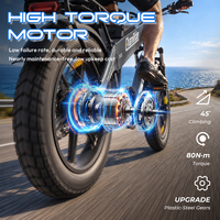 Vélo cargo électrique Chamrider 48V 32Ah, pneus larges de 20 pouces, couple élevé de 80 Nm, porte-bagages arrière, service de livraison professionnel D 32