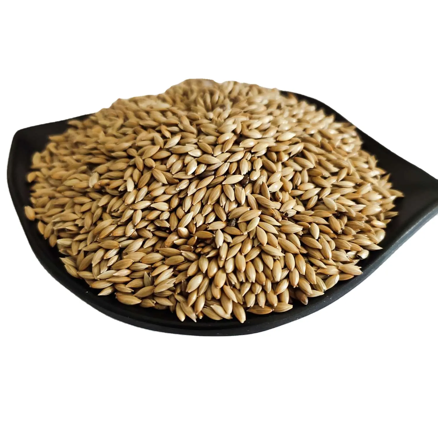 Chinese Pure High Quality Canary Seed For Birds Seeds