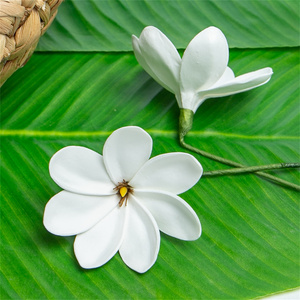 Hawaïen Tropical <span class=keywords><strong>Artificielle</strong></span> 8CM EVA Partie Blanc Mousse <span class=keywords><strong>Tiaré</strong></span> <span class=keywords><strong>Fleur</strong></span> w Pointe Jaune Oreille Pick Accessoires <span class=keywords><strong>De</strong></span> Cheveux <span class=keywords><strong>De</strong></span> Mariage - Product Image 3
