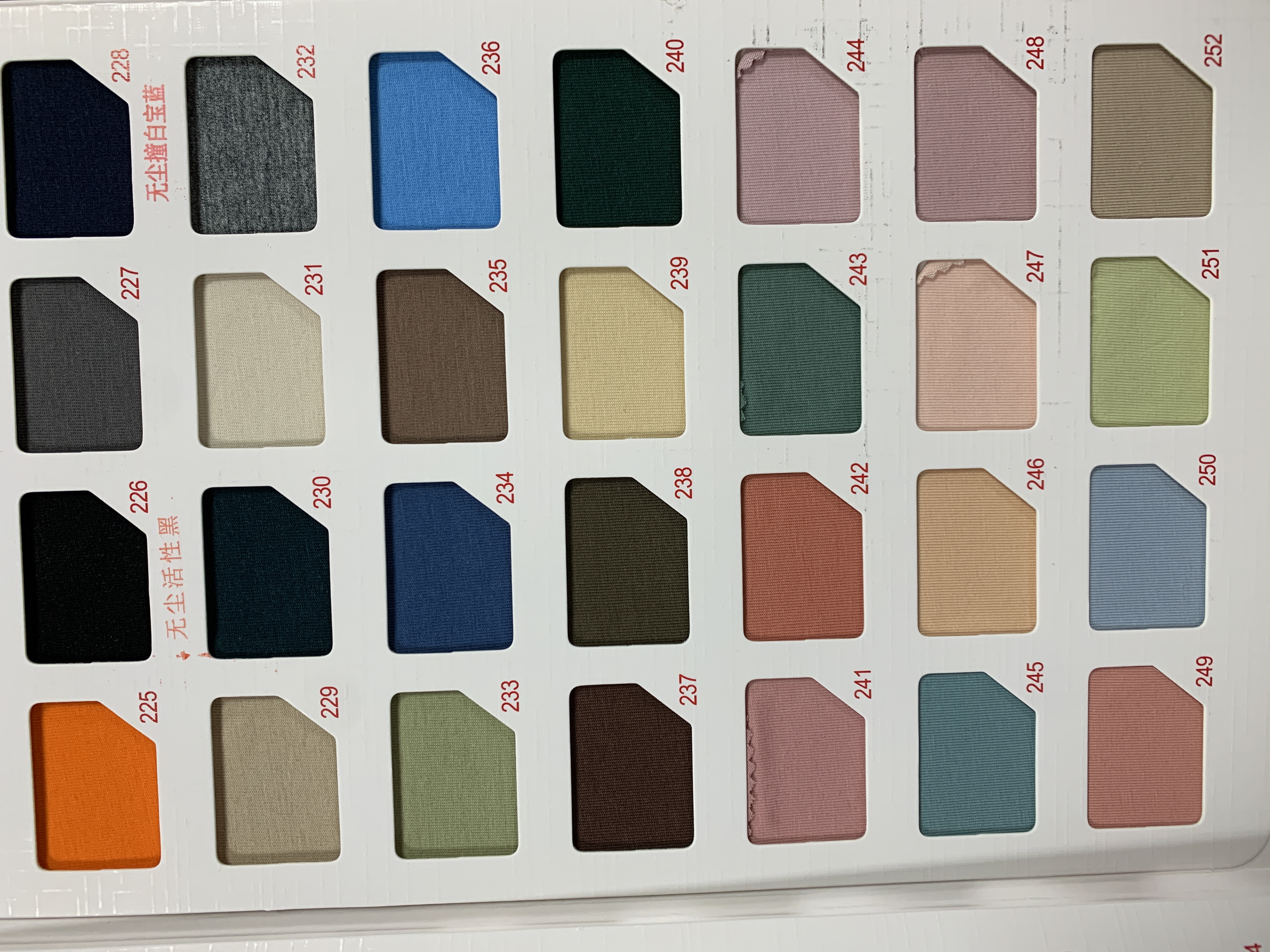 cartella colori1