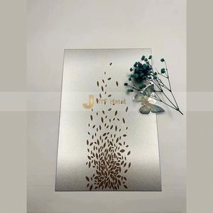 Stainless Steel Sheet Elevator <b>Door</b> Frame Etched Champagne Gold Rose Gold Pattern Finish 304J1 Steel Bending Cutting - Product Image 3