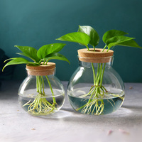 Pot en verre créatif pour la culture hydroponique de plantes aquatiques, pot à fleurs en verre avec couvercle en bois de liège, décoration intérieure