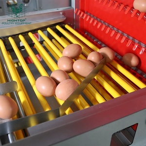 Gabbie per Galline Ovaiole Personalizzate Tipo H Verticali Multi-Livello con Ampio Spazio e Zona di Bagno Polveroso - Product Image 4