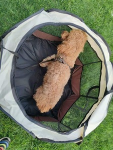 Vallas-Corralito de Entrenamiento Para Perros, gatos, conejos, cerdo, portátil, Plegable - Product Image 3