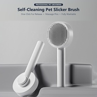 Brosse autonettoyante pour animaux de compagnie, peigne de toilettage pour chats et chiens à libération rapide des poils, outil anti-chute en acier inoxydable