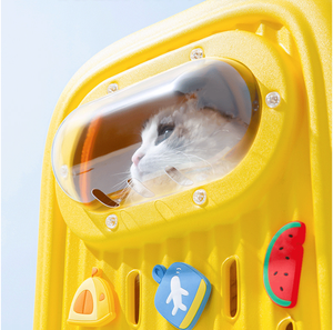 Yüksek kaliteli <span class=keywords><strong>Pet</strong></span> şeyler kedi moda seyahat sırt çantası EVA taşınabilir çanta sevimli büyük uzay evcil hayvan taşıyıcı yavru kabarcık çanta - Product Image 4