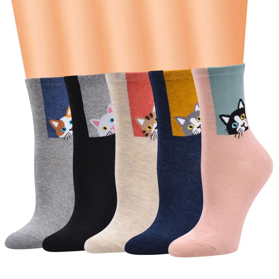 Funny cotton woman winter sock cat animal pattern mid calf crew sock 12 pairs set Korean socks