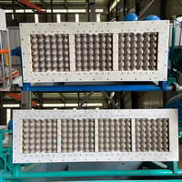 Machine de moulage de plateau à œufs à faible investissement, haute efficacité et stabilité, avec plaque de moule en aluminium, équipement de moulage de pulpe