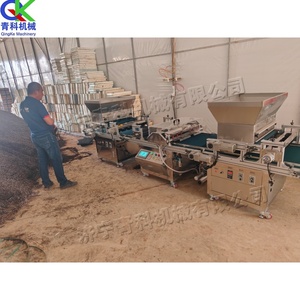 Semoir automatique direct usine pour plateaux de <span class=keywords><strong>semis</strong></span> avec remplissage de terre, <span class=keywords><strong>semis</strong></span> et couverture pour la plantation de jeunes pousses de café et de melon - Product Image 4