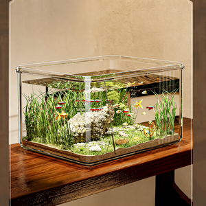 Nouvel <span class=keywords><strong>aquarium</strong></span> miniature pour poissons rouges et tortues, pour usage domestique, petit réservoir écologique de bureau - Product Image 2