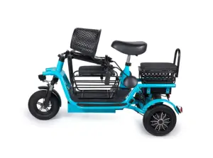 Triciclo elettrico triciclo moto piccolo trasporto domestico per i bambini, genitore-bambino scooter elettrico 3 ruote triciclo