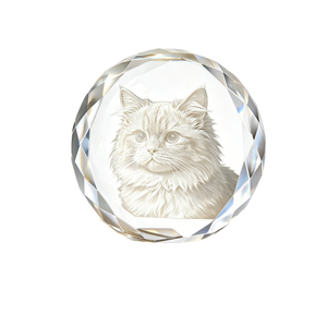 Кулон-урна для праха в форме сердца из хрусталя для кошек и собак - Product Image 1