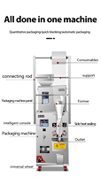 Machine d'emballage verticale automatique CE pour poudres et granulés, remplissage et scellage de sachets, multifonction