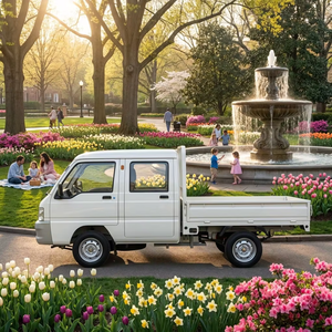 Camioneta Eléctrica <span class=keywords><strong>Mini</strong></span> de Carga SKD de 10KW, 4000W, 240km de Autonomía, Precio de Fábrica, Logotipo Personalizado, Caja de Color, Tamaño <span class=keywords><strong>2</strong></span> - Product Image 1