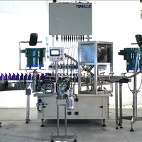 Máquina Tapadora Automática Digital PLC de Ahorro Energético con Llenado de Boca Inclinada y Prensado de Tapón Interno para Aplicaciones Alimentarias y Químicas