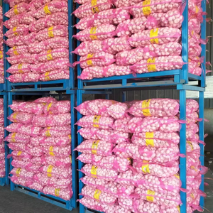 2025 Fresh Crop <strong>Garlic</strong> 3 4 5pcs 10kg Carton Packaging China Supplier 4.5-6.5cm Bulk <strong>Garlic</strong> <strong>Seed</strong> for Sale - Product Image 1