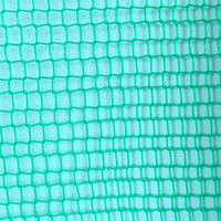 Sac en filet HDPE haute résistance avec cordon de serrage pour la protection des fruits des palmiers à dattes