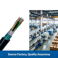 Cable de Alimentación de Bajo Voltaje MKVV Flexible con Aislamiento de PVC y 2 Conductores de Cobre para Construcción Industrial, IP65 1*0.5 mm