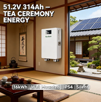 Baterai Lithium Ion 16kWh 48V 51.2V 314Ah untuk Sistem Penyimpanan Baterai Surya, Terpasang di Dinding dengan Roda