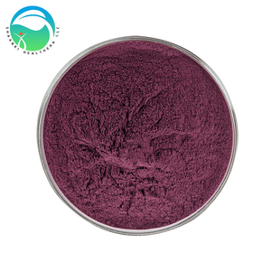 Fornecedor de Pó de Açaí Orgânico Personalizável em Grande Escala, Extração por Solvente, Vitamina, Sem Glúten, Grau Alimentício - Product Image 2