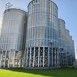 Vente directe usine – Silo en acier galvanisé grande capacité 500T-1500T, à fond conique, pour stockage de céréales, certifié ISO CE, longue durée de vie - Product Image 5