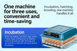 ตู้ฟักไข่แบบใช้พลังงานสองระบบ ประหยัดพลังงาน เป็นมิตรกับสิ่งแวดล้อม ปลอดภัยต่อ<span class=keywords><strong>การ</strong></span>ใช้งานแม้ในพื้นที่ห่างไกล - Product Image 3