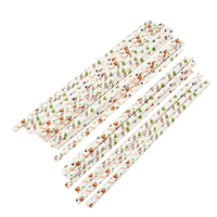 Meilleure Vente Personnalisation Fêtes Motif Chauve-souris Fond Orange Camping Écologique Biodégradable Jetable Encre de Soja 100% Pailles