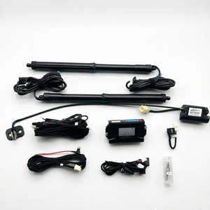 Système de levage électrique de hayon pour camionnette Baojun <span class=keywords><strong>Valli</strong></span> 2021+ - Product Image 2