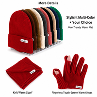 Ensemble 3 pièces hiver chaud : bonnet tricoté à cache-oreilles, écharpe et gants – Tenue thermique simple et polyvalente pour hommes et femmes, idéale pour l'extérieur et le quotidien