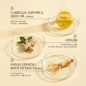 KORMESIC Private Label 150ml Biotin Scalp Cleaning Foam Hair <b>Shampoo</b> Repairing Anti-Dandruff Anti Hair Loss & Growth Products - Product Image 5