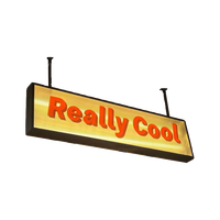 Boîte à lumière LED rectangulaire longue en acrylique côtelé, à suspendre au plafond, pour enseigne publicitaire de magasin