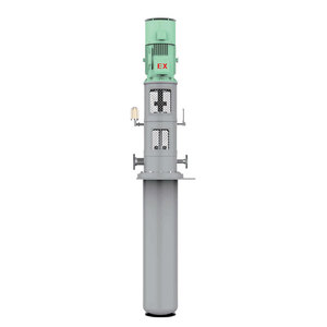Professional Customization Stainless Steel Corrosion Resistant High Screen Wash Water Vertical Pocket Pumps - Product Image 2