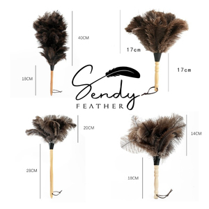 Dụng Cụ Lau Bụi Lông Đà Điểu, Dụng Cụ Lau Bụi Lông Vũ Lông Đà Điểu Lông Mịn Tự Nhiên Chính Hãng Có Tay Cầm Bằng Gỗ Để Làm Sạch Nhà Cửa Và Xe Hơi - Product Image 2