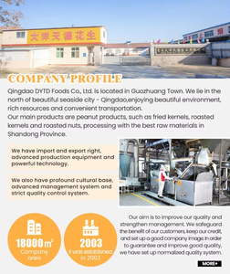 Shandong Origin geschälte Erdnuss kerne 3A Grade getrockneter Snack Blanchierte Erdnüsse Export qualität Gesund nahrhaft - Product Image 5