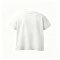 T-shirt personnalisé Kornit DTG avec impression d'emblème étoile USA, tee-shirt décontracté pour homme, vente en gros depuis l'usine chinoise