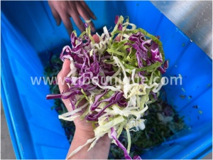 Affettatrice per affettare il cavolo Juliene tagliatrice di lattuga tagliatrice per verdure - Product Image 5