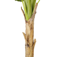 300cm Hot Sale Kunden spezifische künstliche Bananen baum einpolige grüne Pflanze für Wohnkultur