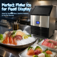 Machine à glace commerciale 150 kg/jour CE, grande production, en acier 304, pour glace pilée, fourniture directe du fabricant pour sushis, fruits de mer, fondue chinoise