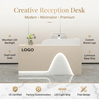 Comptoir de réception moderne minimaliste avec éclairage LED, logo personnalisé, table de réception pour salon de beauté, bureau, clinique, hôtel