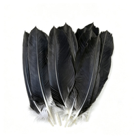 Plume d'aigle, grande plume noire, ensemble complet de plumes pour flèches