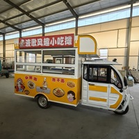 Tricycle Électrique en Acier Inoxydable pour la Restauration Mobile, Capacité 200 Unités, Garantie 2 Ans, Idéal pour la Restauration Rapide, les Glaces, les Hot-dogs et la Bière
