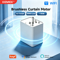 Motor Silencioso para Cortinas Inteligentes WiFi con 2.0 Nm de Torque para Carga de 100 KG, Motor Eléctrico Automático para Ventanas OEM ODM