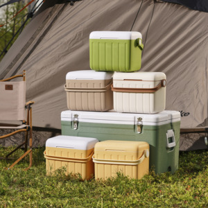 Contenitore Termico Personalizzato <span class=keywords><strong>da</strong></span> 6L con Logo, Piccolo Frigorifero Portatile per Campeggio con Maniglia, Porta Lattine Termico in Plastica Rigida per Picnic - Product Image 1